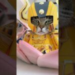 5月の守護神　#コスプレ猫 #cat #聖闘士星矢