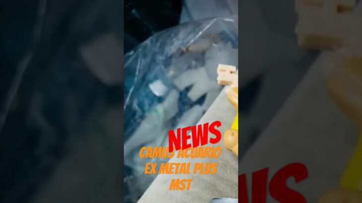 NEWS CAMUS ACUARIO EX METAL PLUS MST #saintseiya #mythcloth #聖闘士星矢
