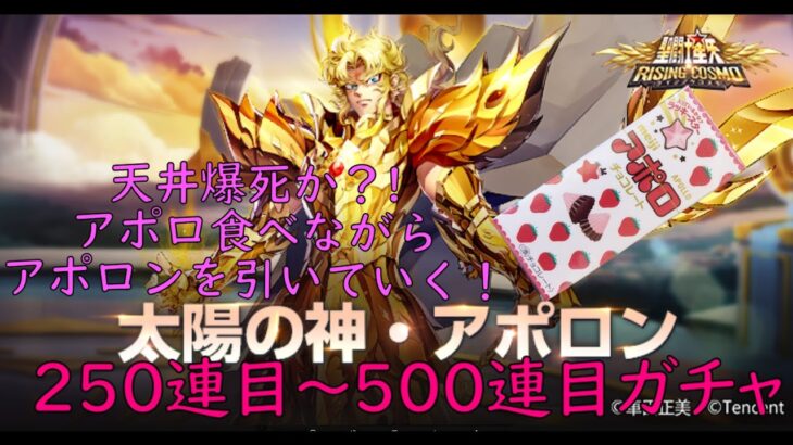 聖闘士星矢ライジングコスモ　URアポロン250連目から500連目折り返しガチャ！アポロ引きでアポロン引けるか！?