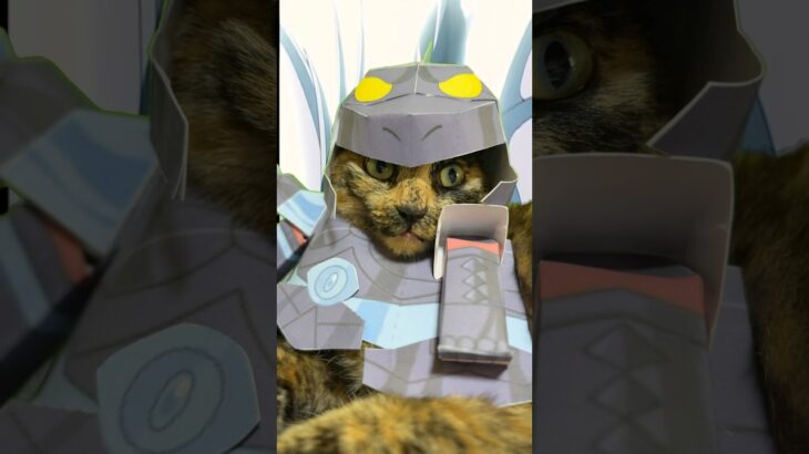 オーディン・ソード撃っちゃう系女子　#コスプレ猫 #cat #聖闘士星矢