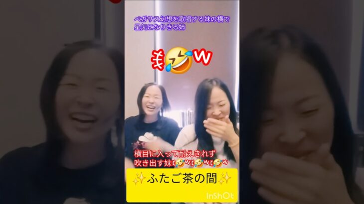 ふたご茶の間✨33 #爆笑  #双子 #仲良し #聖闘士星矢 #ペガサス #ペガサス幻想 #cover