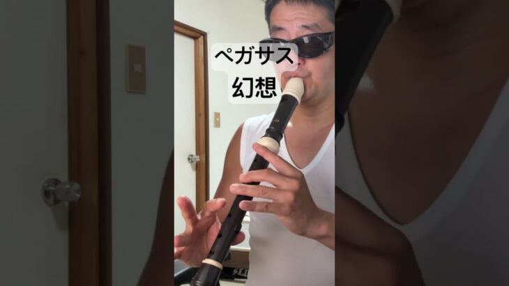 ペガサス幻想 MAKE UP 聖闘士星矢 アニソン アルトリコーダー alto recorder
