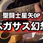 【聖闘士星矢OP】ペガサス幻想 アコギとエレキの兄弟が弾いてみた