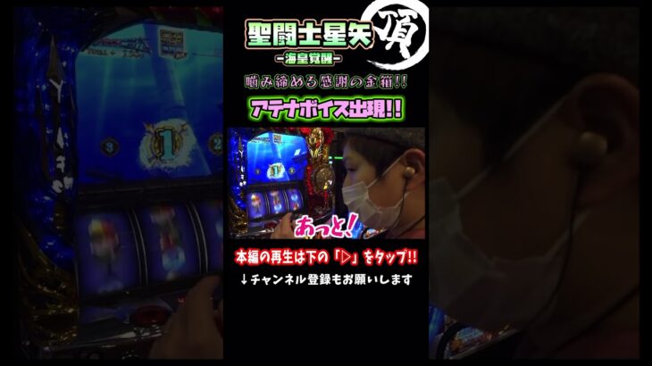 噛み締める感謝の金箱【聖闘士星矢】