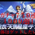 聖闘士星矢ライジングコスモ　EX神聖衣　天馬星座　テンマ 追いガチャ７５０連目から１０００連目！１体はゲットして１３３５にしたい！