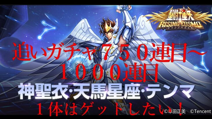 聖闘士星矢ライジングコスモ　EX神聖衣　天馬星座　テンマ 追いガチャ７５０連目から１０００連目！１体はゲットして１３３５にしたい！