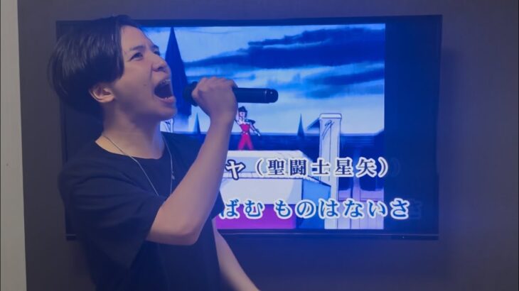 「ソルジャードリーム」聖闘士星矢歌ったよ！