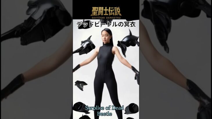 聖闘士伝説 -LEGEND of SAINTS- #87 デッド―ビートルの冥衣/Saint Legend – LEGEND of SAINTS – #87 Dead Beetle Surplice