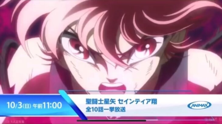 聖闘士星矢 セインティア翔 Saint Seiya Saintia Shoのアニマックス CM