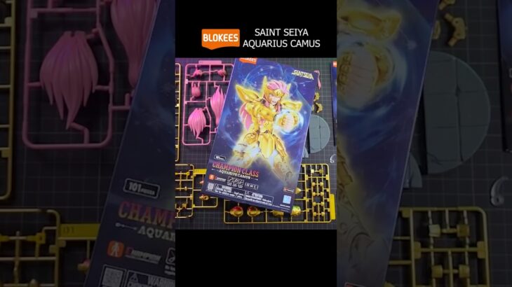 Unbox Blokees Saint Seiya Champion Class 08 :  Aquarius Camus Gold Cloth New Collection! @Blokees