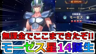 荒ぶるモーゼス！アピールが止まらないｗシャイナもついに星〇〇へ【聖闘士星矢レジェンドオブジャスティス】