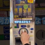 【ガチャ】聖闘士星矢 黄金聖衣コレクション【残り1個を救いたい】 #ガチャ動画 #ガチャ #セイントセイヤ #ゴールドクロス #アリエス #タウラス #ジェミニ #キャンサー #車田正美 #バンダイ