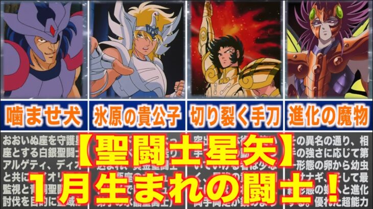 【聖闘士星矢】1月生まれの闘士！ 「聖闘士・海闘士・冥闘士」#saintseiya #聖闘士星矢 #アニメ