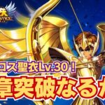 【聖闘士星矢LOJ】夜のデイリー消化！21章クリアなるか？！