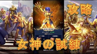 【聖闘士星矢レジェンドオブジャスティス】女神の試練、獅子座一輝の試練を攻略してみた！【星矢ジャスティス】