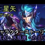 聖闘士星矢　ライジングコスモ　冥衣・水瓶座・カミュ　キャラクターストーリー