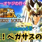 【聖闘士星矢】初見プレイ　cosmo65 覚醒！ペガサスの神衣