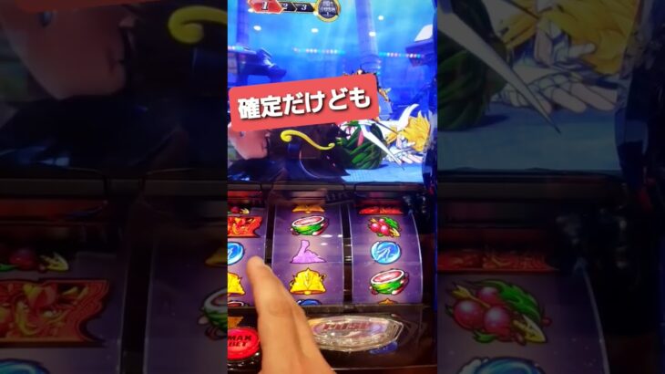 【スマスロ聖闘士星矢】確定っちゃ確定だけども