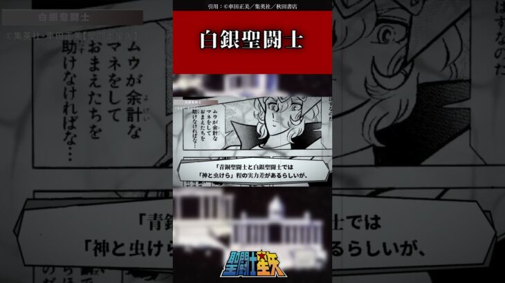 【聖闘士星矢】黄金聖闘士に変わって聖域外にて活動する実践部隊!白銀聖闘士解説#聖闘士星矢 #解説 #saintseiya