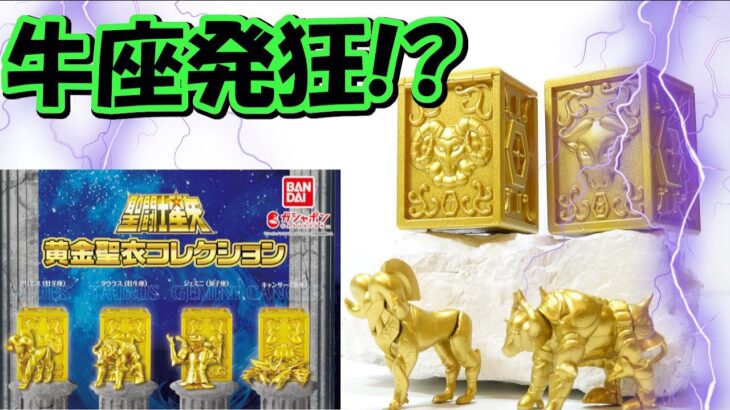 聖闘士星矢【黄金聖衣コレクション】の紹介です💀ガシャポン かませ牛🐮見事クソ的中で草♨️