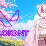 【VALORANT】聖闘士星矢コンプリートさせた男のVALORANT…魂のコンペ！