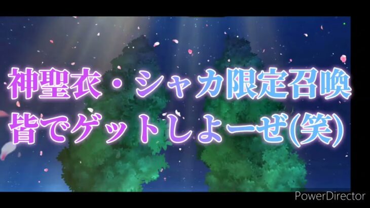 聖闘士星矢ライジングコスモ　神聖衣・シャカ限定召喚　皆さんは引きますか？引かないですか？