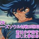 聖闘士星矢 ソルジャーズ・ソウル　対戦25回目