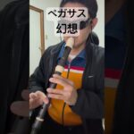 ペガサス幻想 MAKE-UP 聖闘士星矢 アニソン アルトリコーダー alto recorder