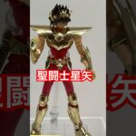 聖闘士星矢✨魂ネイション限定フィギュア✨