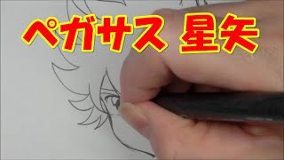 星矢【聖闘士星矢】を描く