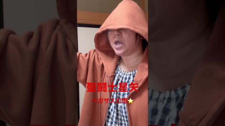 聖闘士星矢　ペガサス幻想🎤🎤⭐️ #歌ってみた