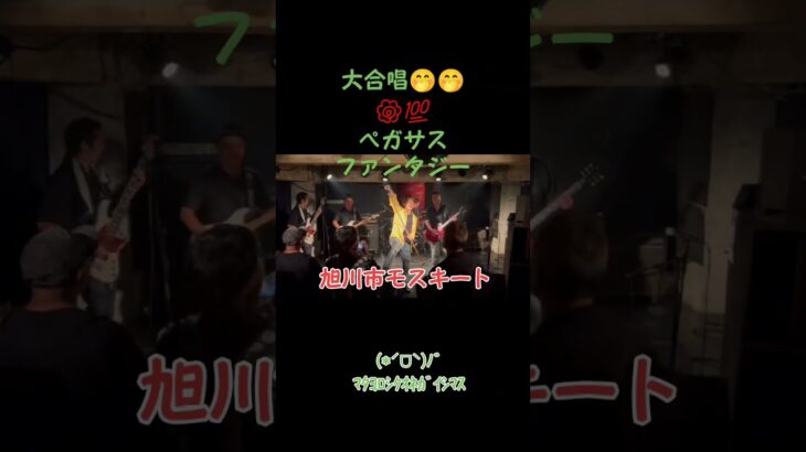 #tempestblaze #アニソンバンド #旭川市 #聖闘士星矢 #ペガサス幻想