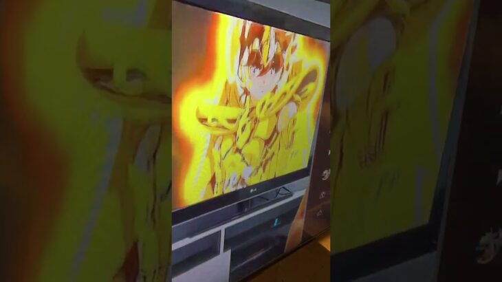 黄金聖闘士