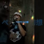 敢えて２番を歌ってみた。で、アニメ聖闘士星矢よりペガサス幻想歌ってみた #歌ってみた #うたスキ #アニソン#ジャンプアニメ#聖闘士星矢