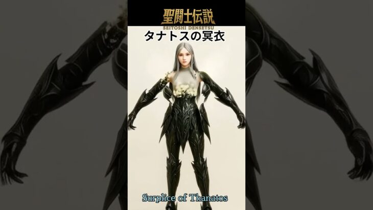 聖闘士伝説 -LEGEND of SAINTS- #11 タトナスの冥衣/Legend of Saints -LEGEND of SAINTS- #11 Surplice of Thanato