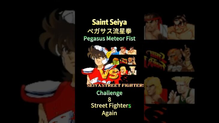 Seiya 聖闘士星矢 vs 8 Street Fighters