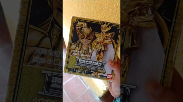 Un regalo digno 聖闘士星矢