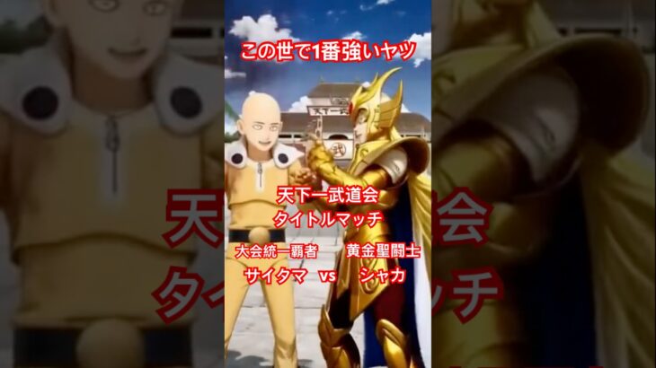 ドラゴンボール　ワンパンマン　聖闘士星矢　リメイク　天下一武道会　オリジナルキャスト#doragon ball  #onepunchman  #doll #fortnite #model #remix