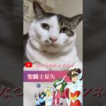 聖闘士星矢主題歌歌います♡にゃ〜